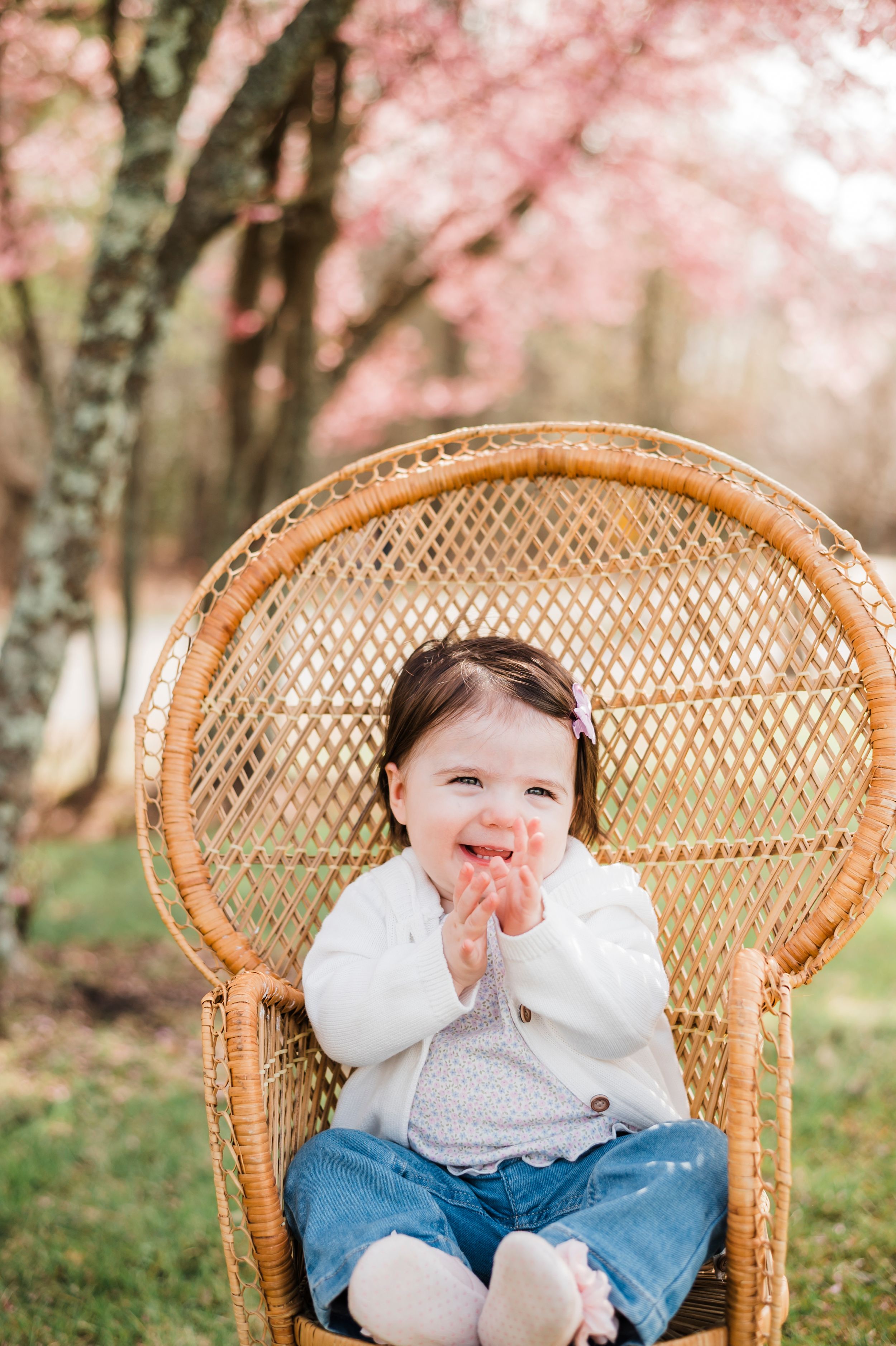 A round wicker peacock chair sits beneath blooming cherry blossom trees on a spring day.