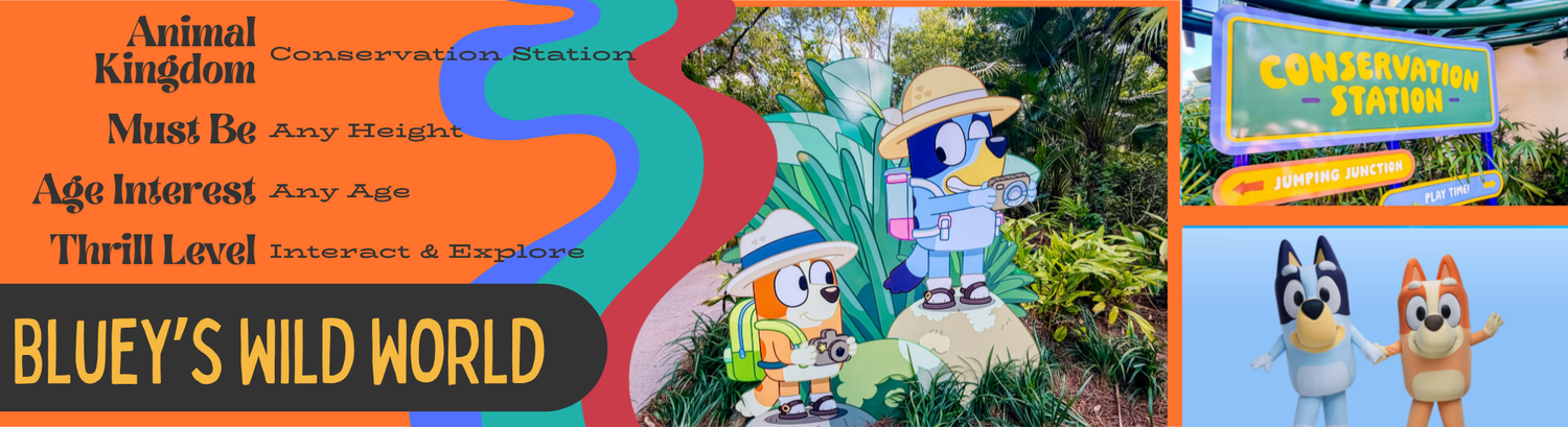 Retro-styled banner for 'The Animation Experience' featuring vintage Disney artwork.
