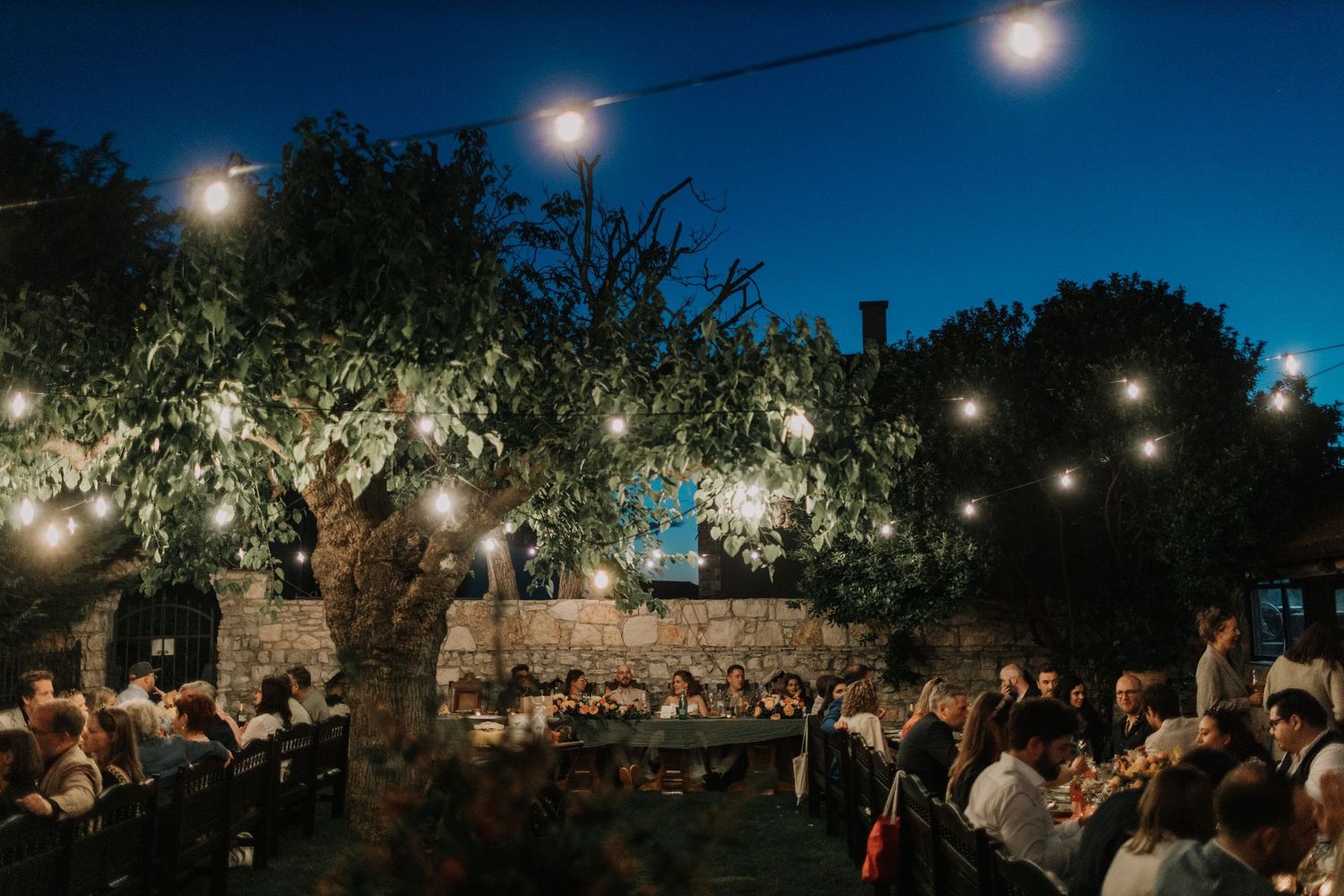 Istria wedding photographer