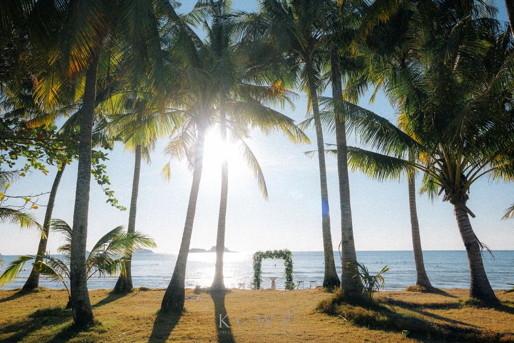 A beach wedding arch decorated with white flowers stands between palm trees on a tropical shoreline at sunset.