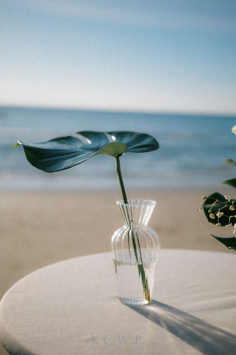 Single tropical leaf stem in small clear glass vase on white table at beach with blurred ocean background.