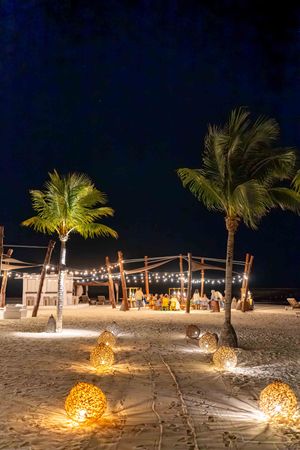 Beach bar setup at night with illuminated palm trees and glowing spherical lanterns on sand.