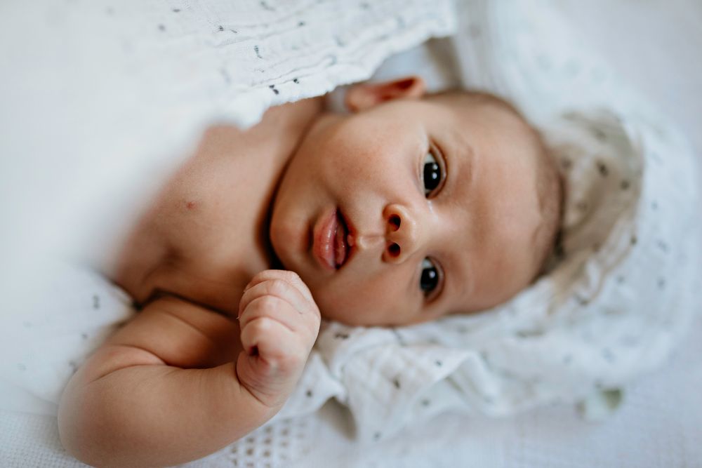 A tiny newborn baby rests peacefully while wrapped in soft white fabric at home photoshoot in Amador County