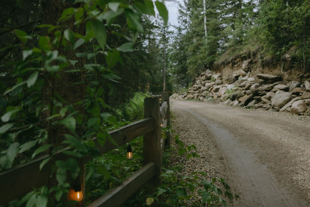 A winding dirt road with wooden fence leads through a dense forest landscape.