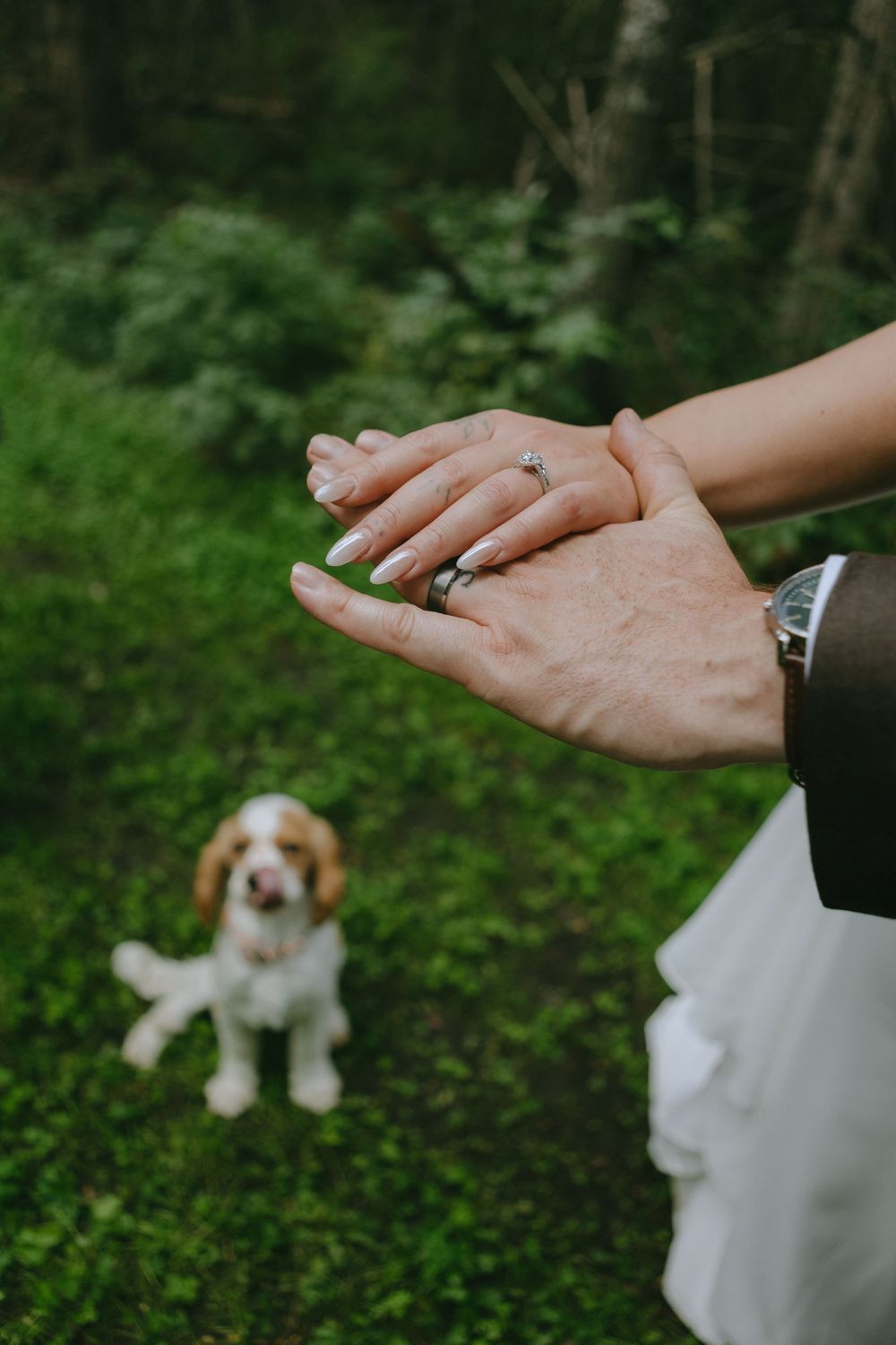 Close-up of hands showing engagement rings with a cute puppy sitting in the background on green grass.