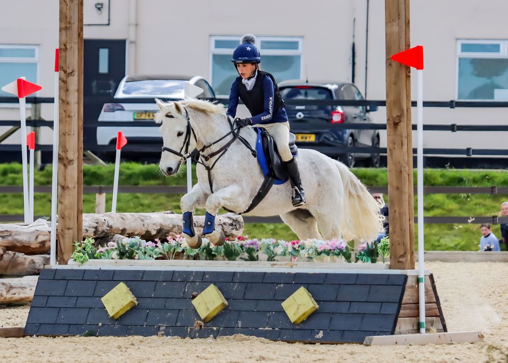 horse cross country training on surface