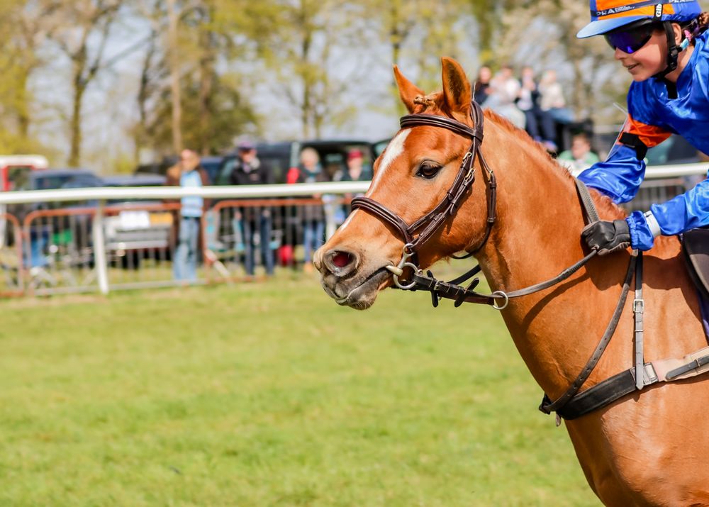 pony racing