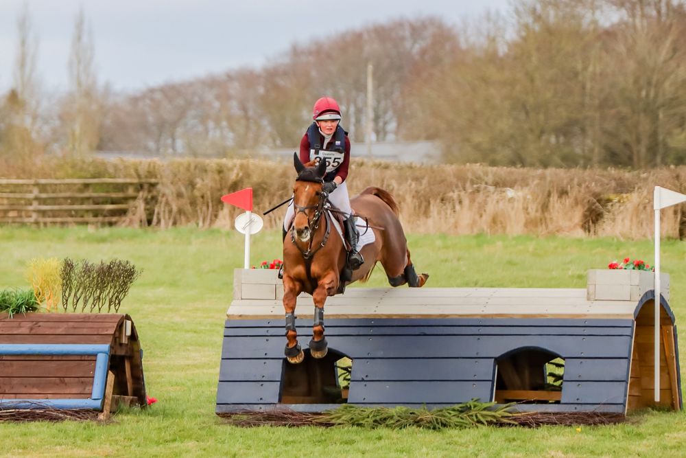 Chestnut horse jumping Novice cross country fence at Oxstalls BE