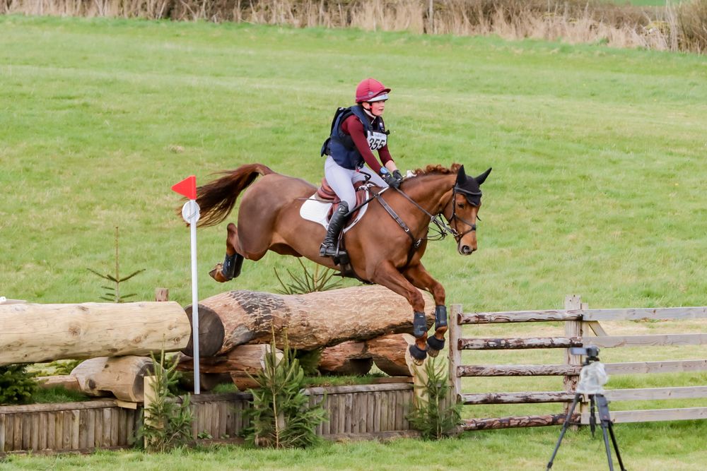 Chestnut horse jumping Novice drop fence at Oxstalls BE