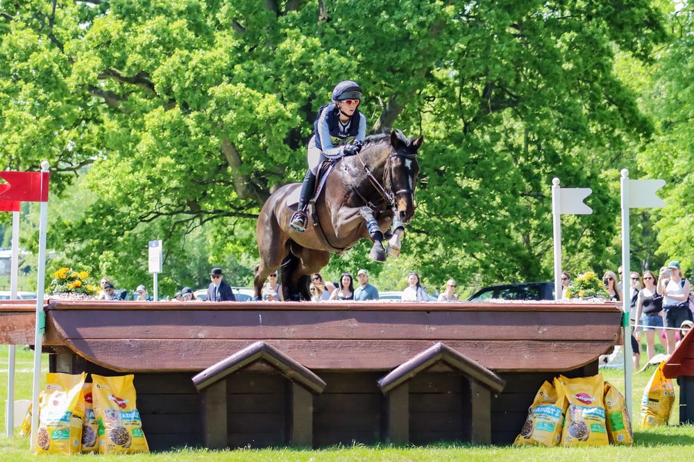 horse jumping cross country fence at badminton horse trials