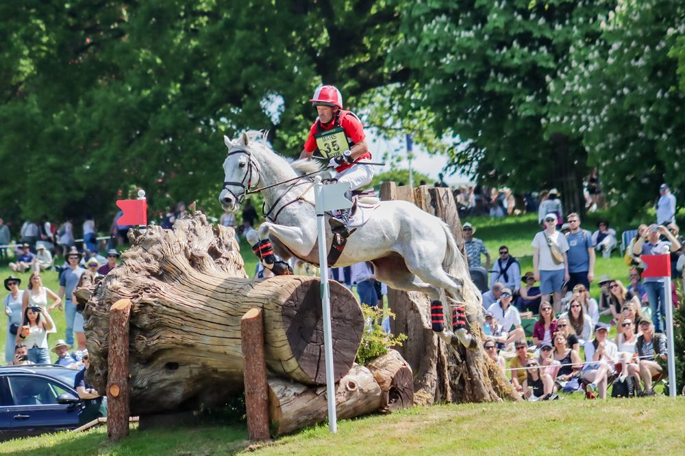 horse jumping cross country fence at badminton horse trials