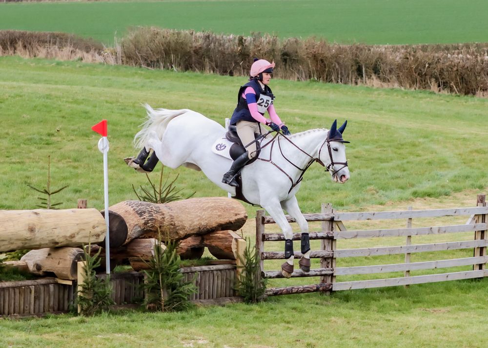 Horse jumping down large drop fence