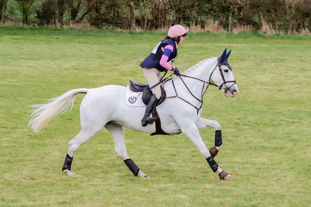 course cantering between jumps on cross country course