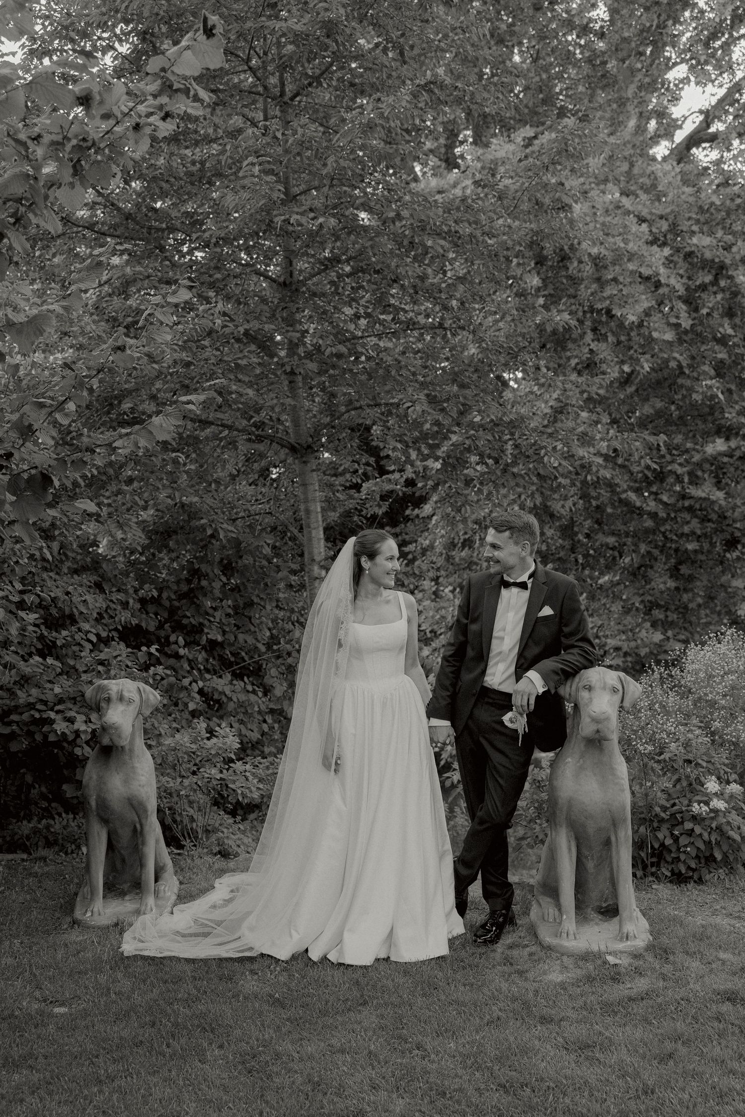 Black and white wedding photo of bride and groom standing with two Weimaraner dogs in a lush garden setting.