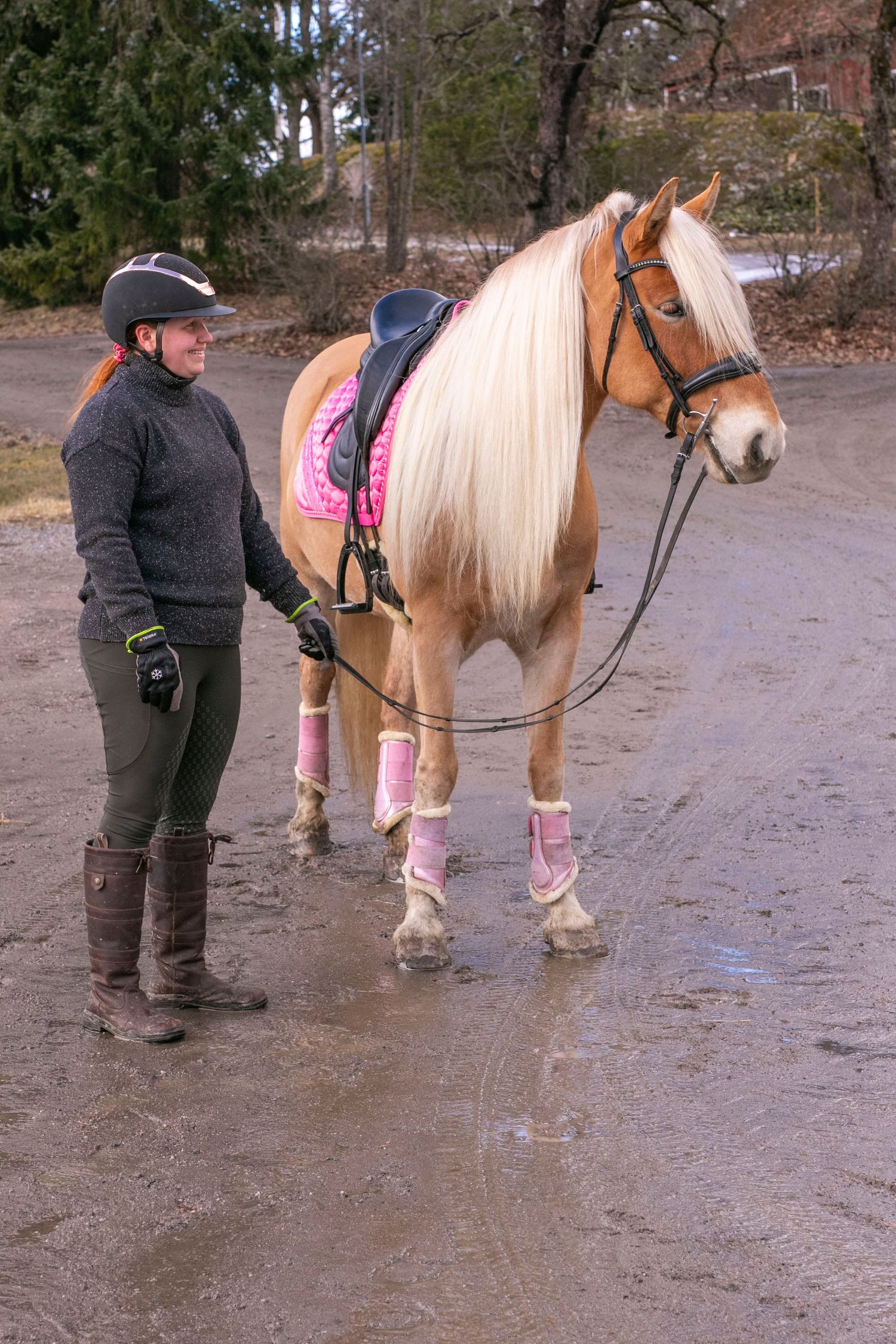 A horse wearing pink leg wraps and riding gear stands with its handler on a wet path during a training session.