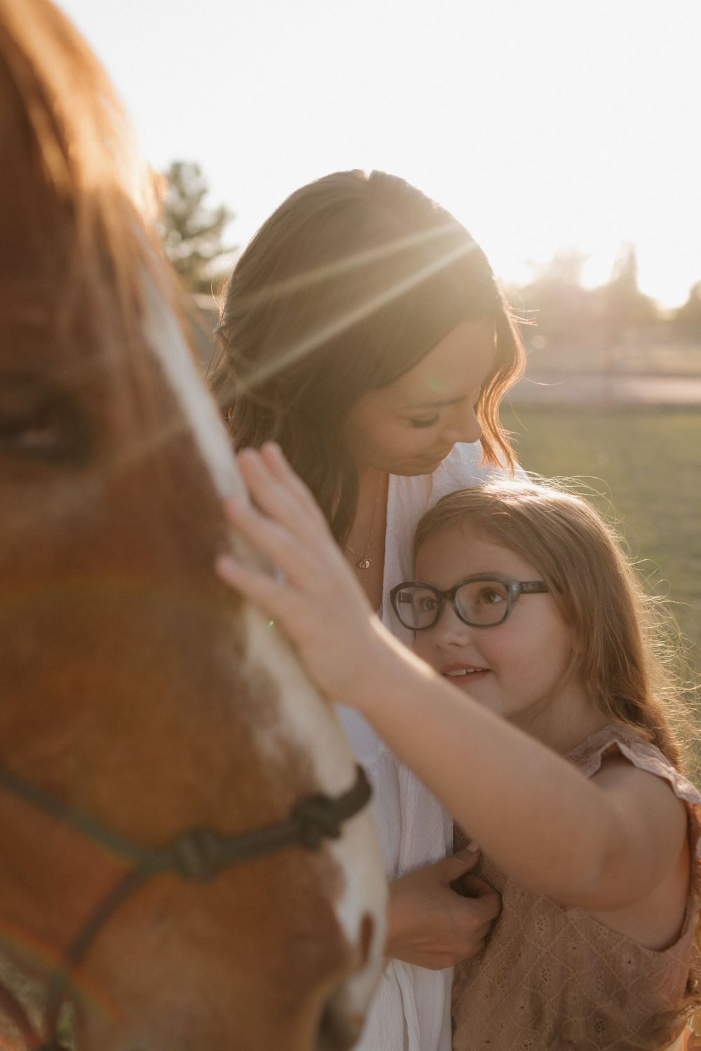 A tender moment between people and a brown horse in warm evening light.