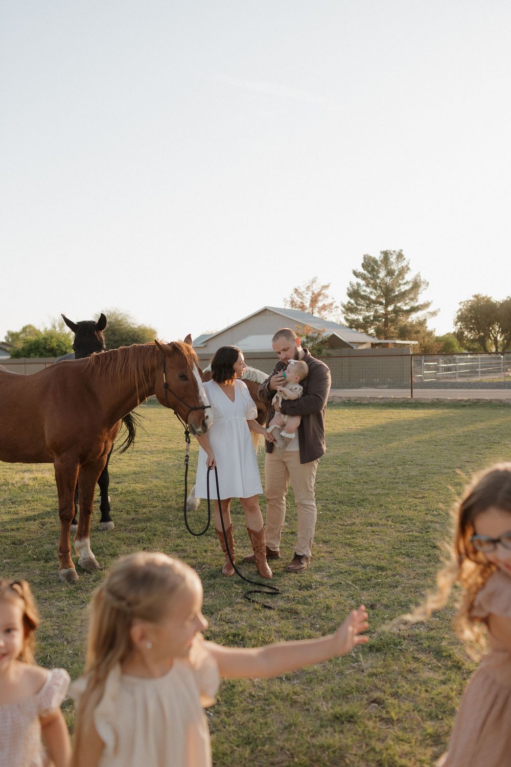 Children play in the foreground while others interact with horses in a sunlit field.