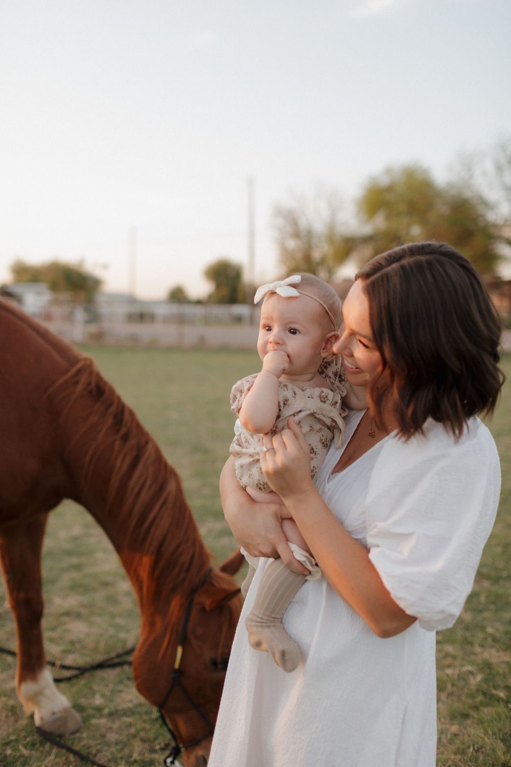 An intimate outdoor family moment with grazing horses in the background during golden hour.