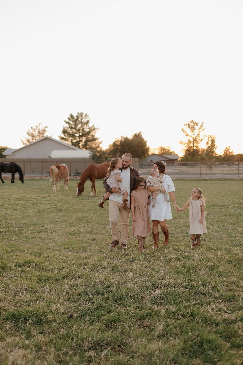 Family gathering in a pastoral setting with horses grazing during golden hour.