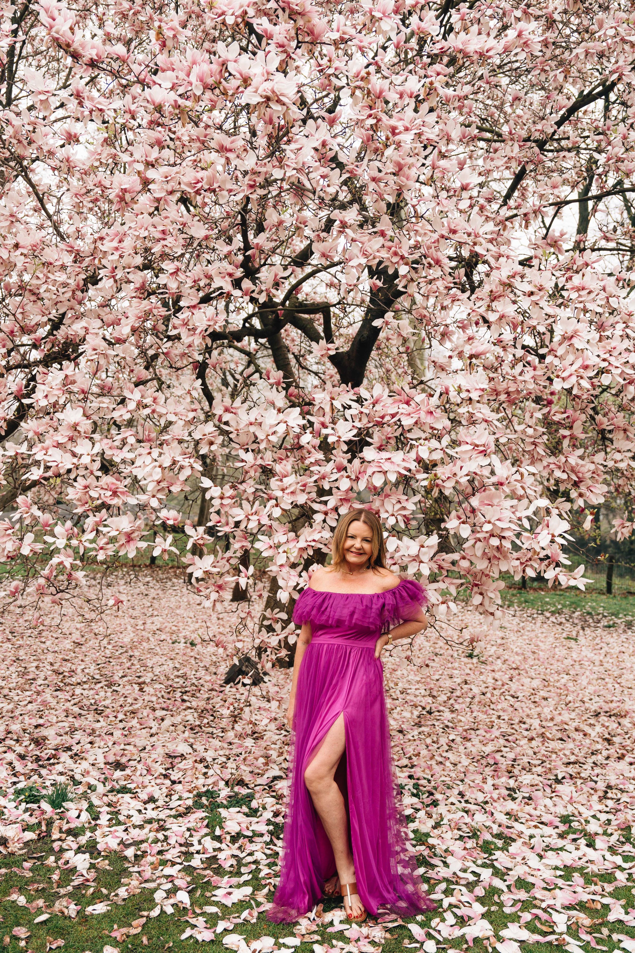 A magenta flowy dress stands out against delicate pink cherry blossoms in full spring bloom.