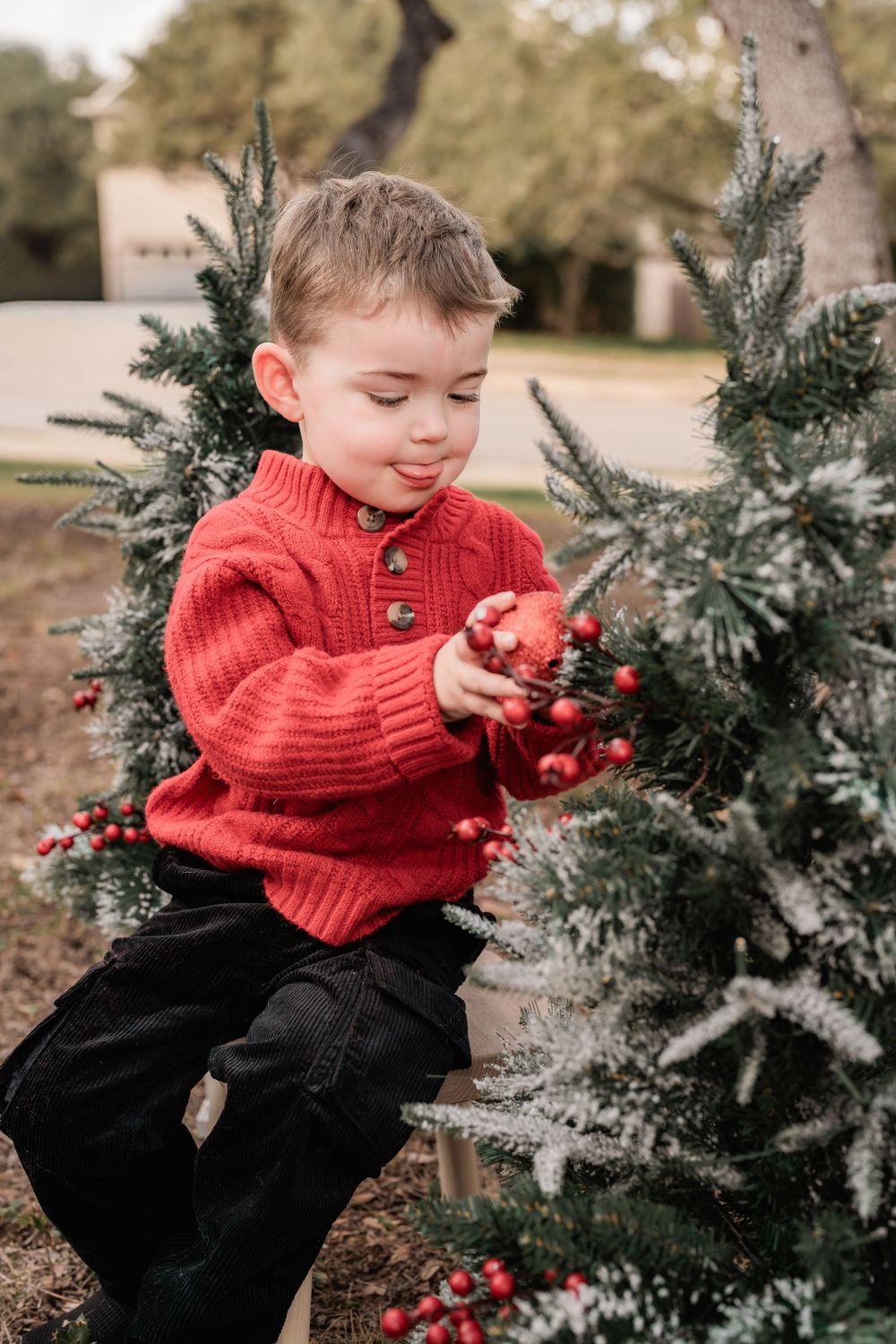 Child in red sweater plays with festive holiday decorations and berries near snow-dusted evergreen branches.