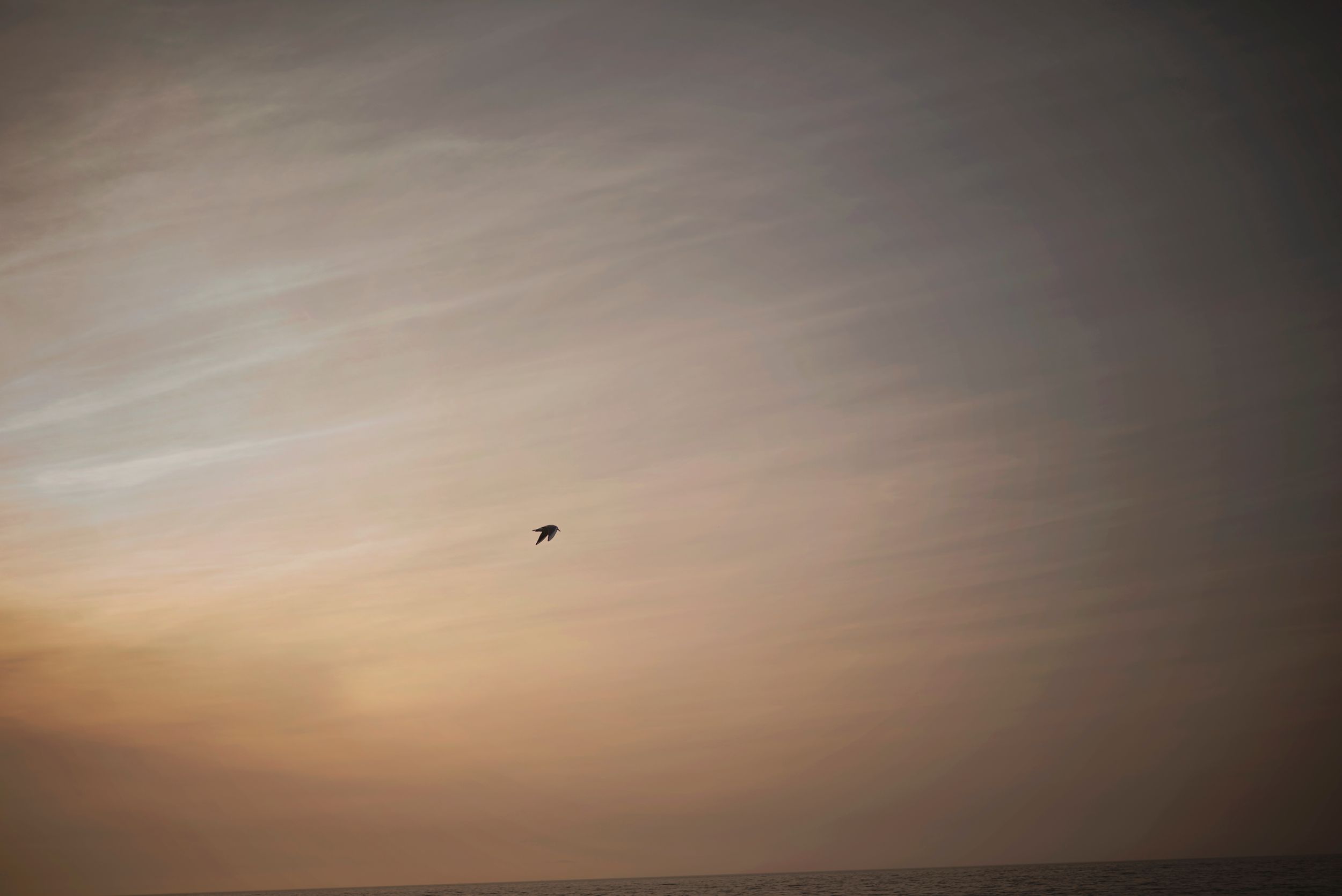 A small flying object silhouetted against a hazy sunset sky in warm orange and pink tones.