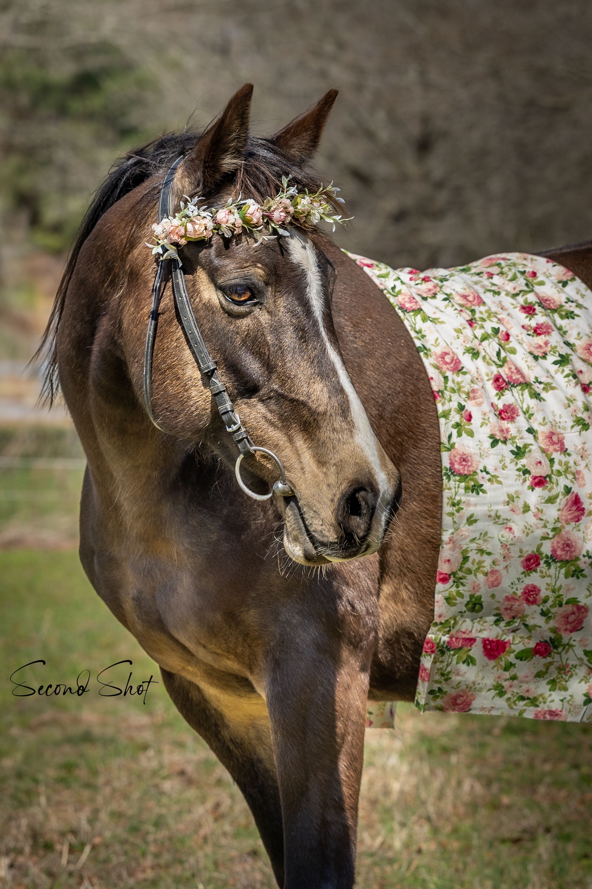A dark brown horse adorned with a floral crown poses next to a floral print backdrop in an outdoor portrait setting.