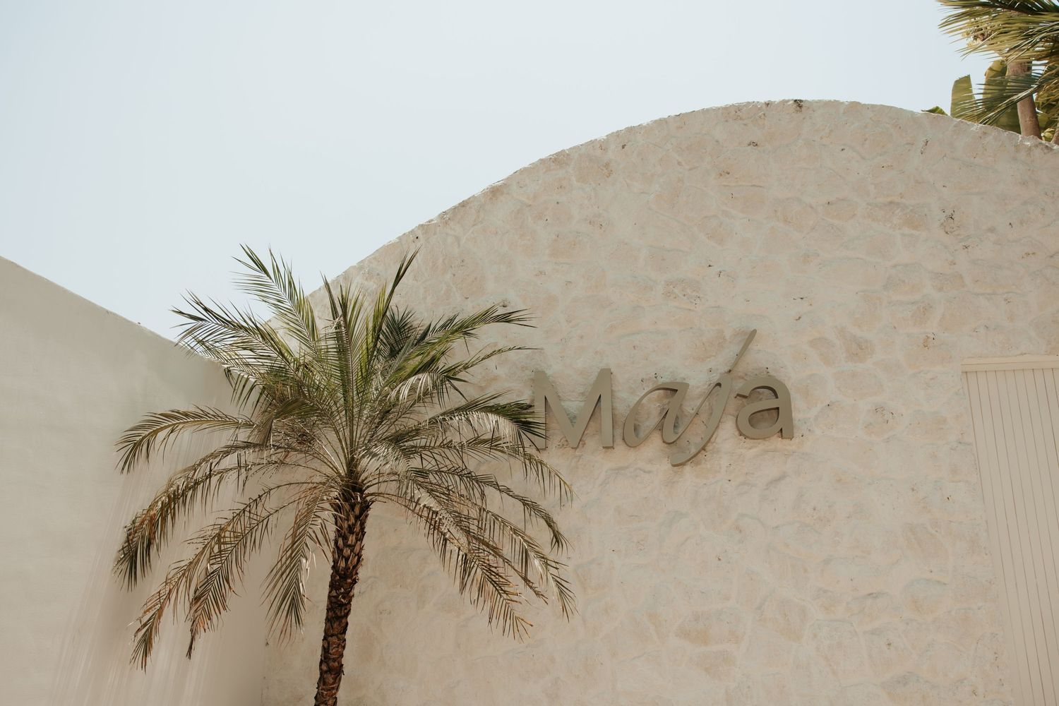 A palm tree stands against a white stucco wall with the word 'Maya' written on it.