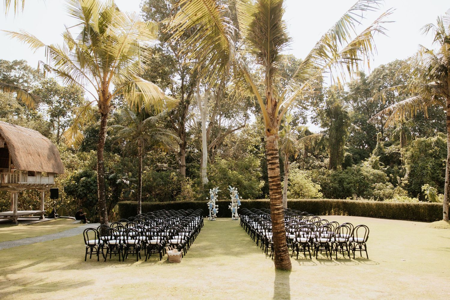 Outdoor wedding ceremony setup with black chairs arranged in rows beneath towering palm trees and a white floral arch.