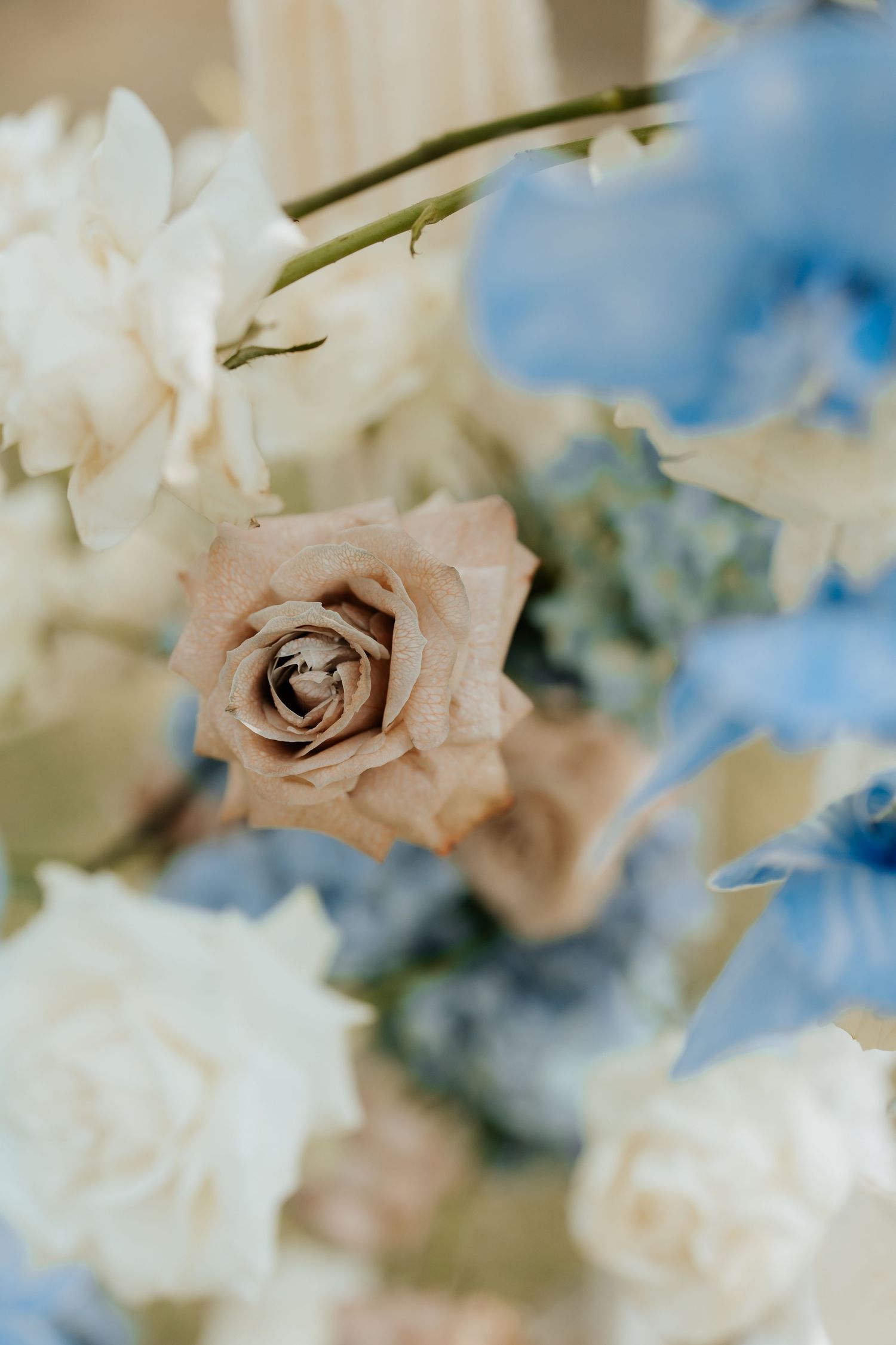 A soft focus macro shot of a pale pink rose surrounded by white and blue flowers in a wedding bouquet.