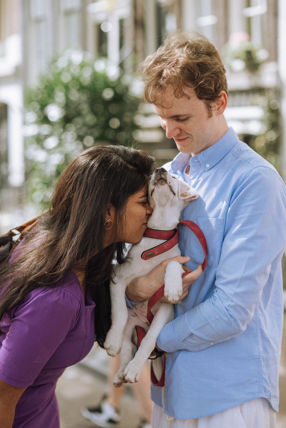 Couple playing with small white dog in casual indoor setting.