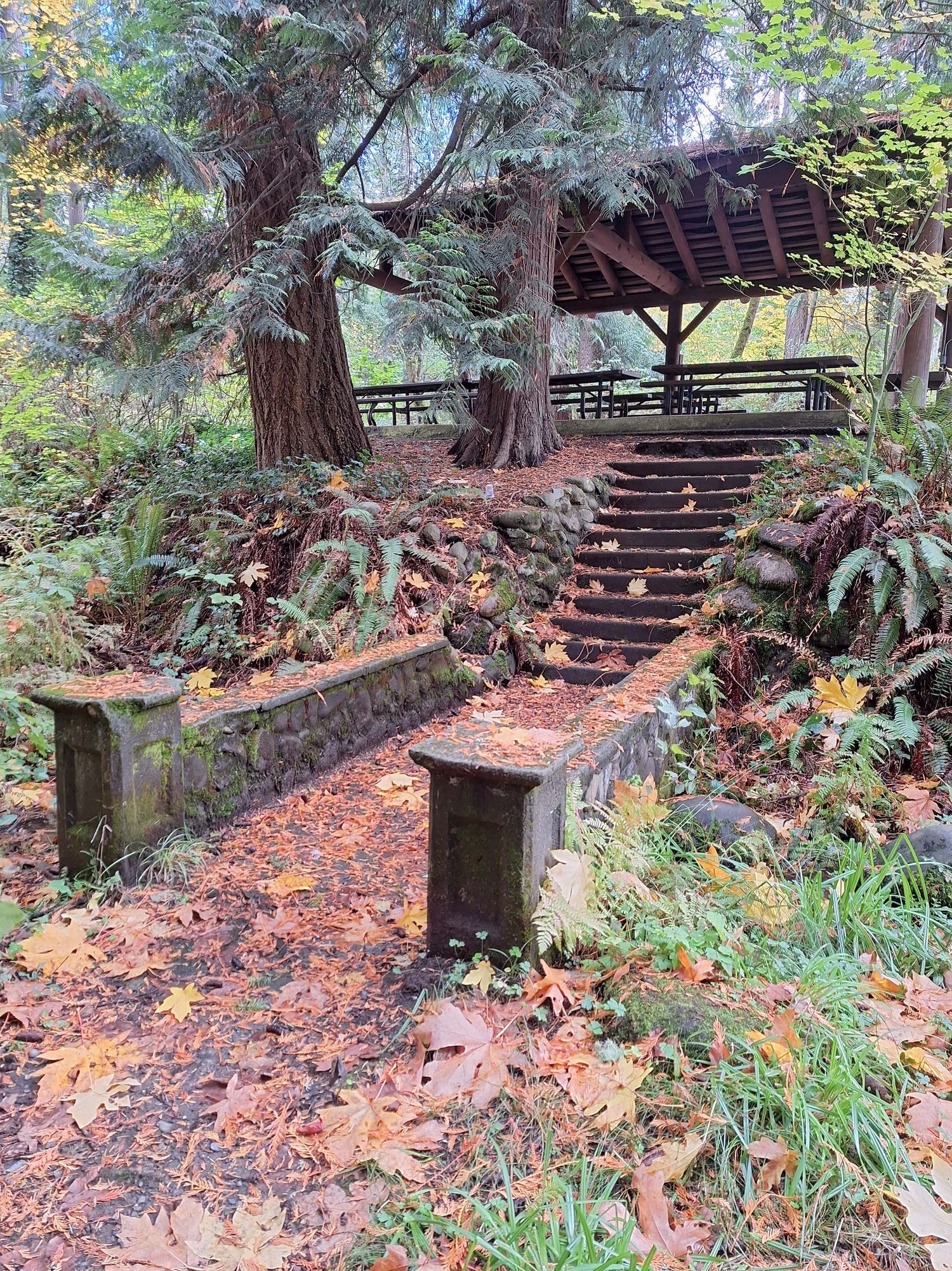 Stairwell and bridge leading from covered area over creek at Wildwood Park, Puyallup, WA.