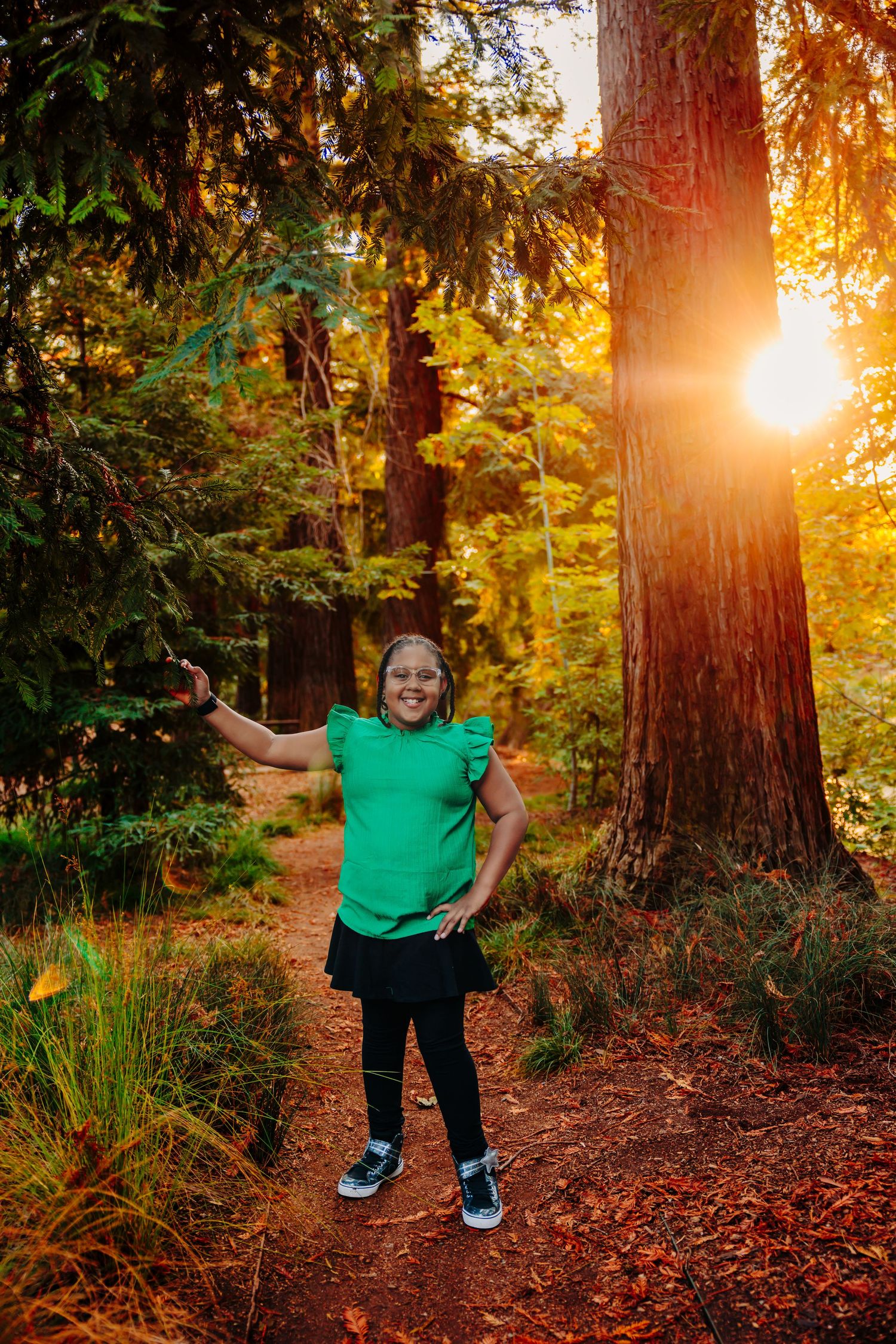 Golden sunlight streams through towering redwood trees in a forest during sunset, creating a magical woodland scene.