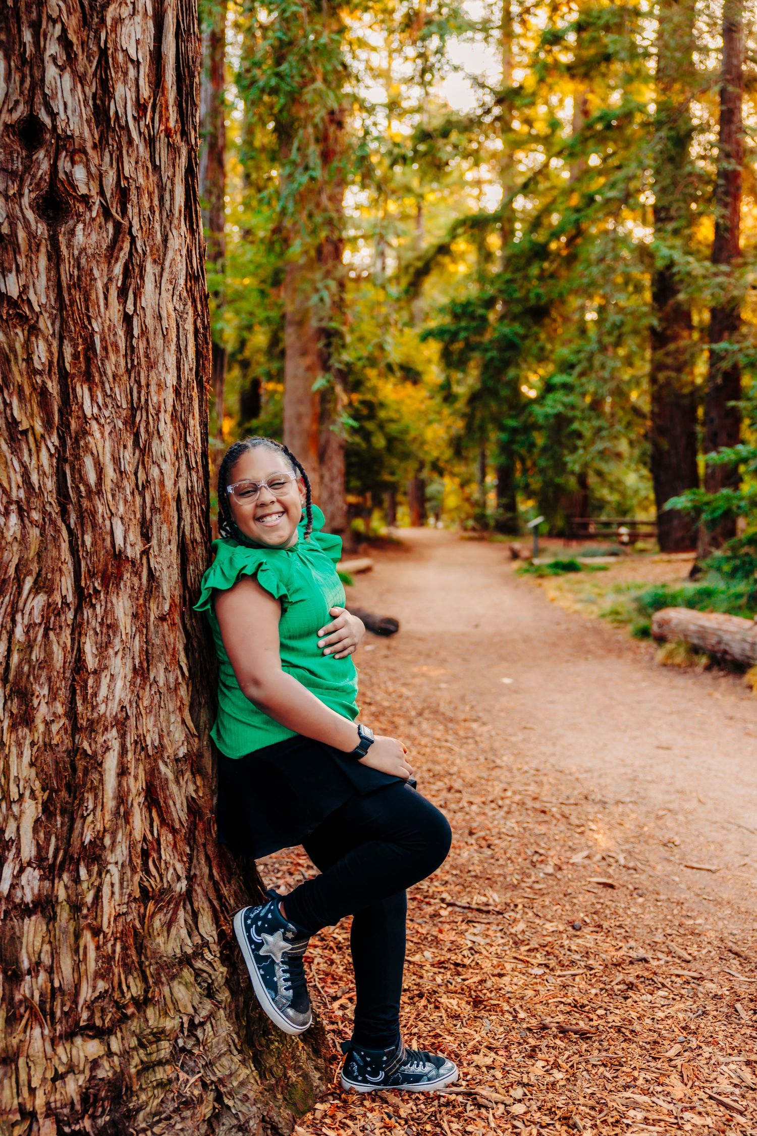 A bright autumn forest path lined with tall redwood trees and fallen leaves creates a peaceful natural setting.