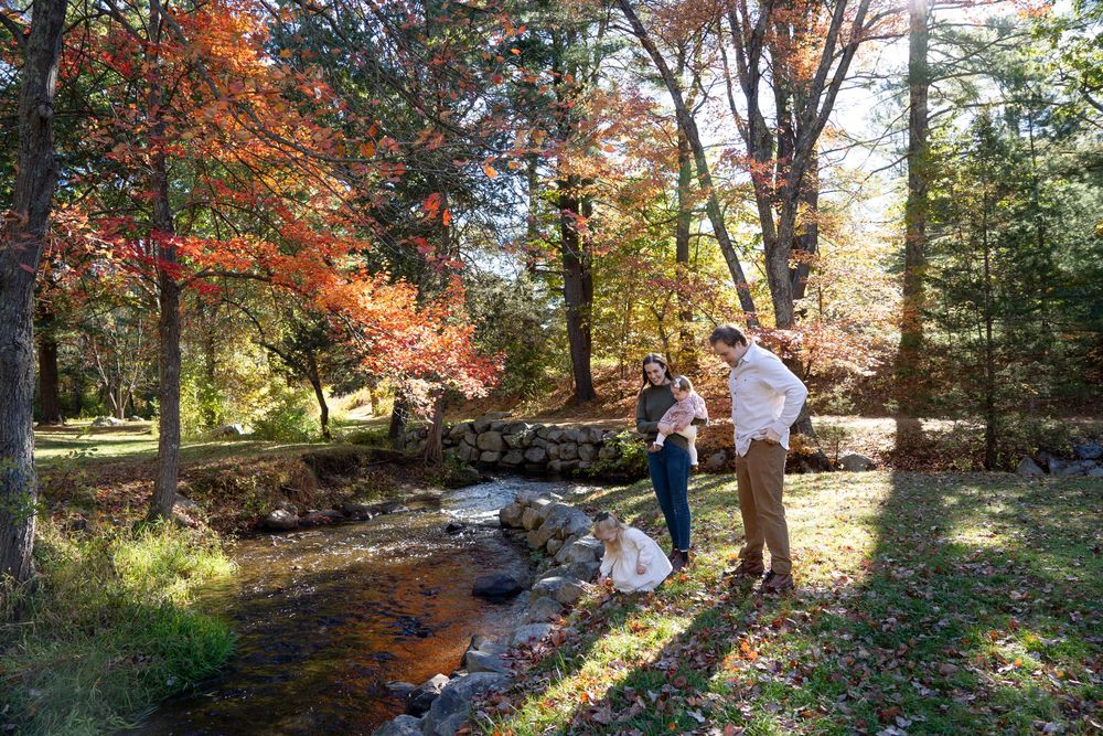 Gorgeous light in autumn leaves for Family Portraits. Lifestyle photography by Leah Ramuglia Photography in Sudbury, MA.