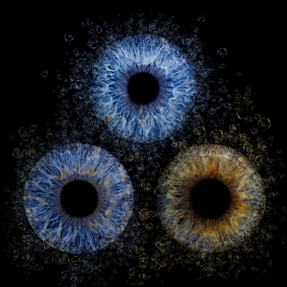 Close-up iris photography artwork captured by Nicola in Woodside, Glenrothes. Detailed macro image of a human eye showing unique natural pat