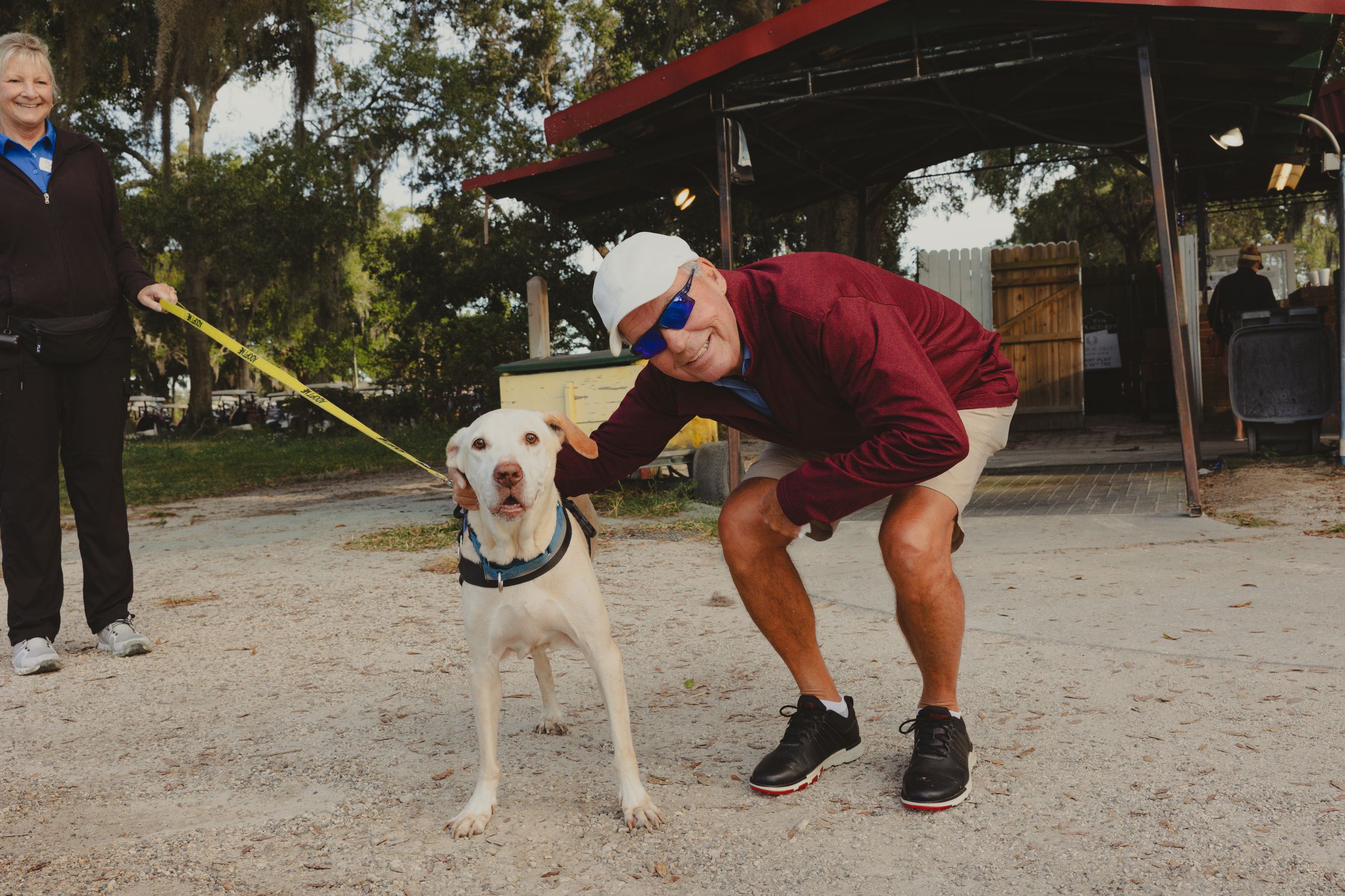 A series of photos showing a dog being trained with treats and positive reinforcement techniques outdoors.