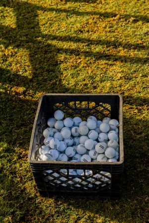 Black crate filled with white golf balls sitting on grass in golden sunlight.