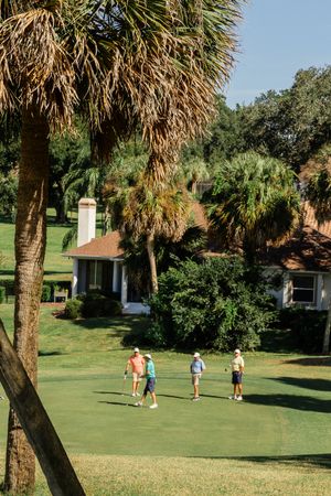 People playing a casual game of golf on a sunny day at a palm tree-lined course.