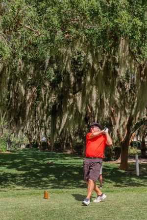 Golfer in red shirt taking a swing on a course lined with Spanish moss-covered trees.