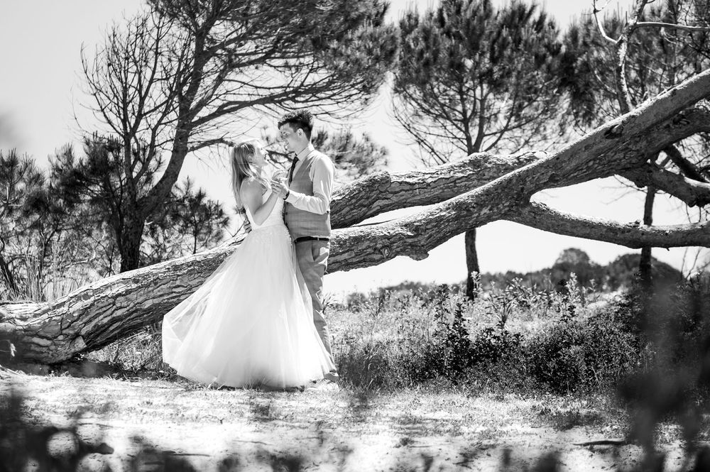 Artistic black and white photo sequence under pine trees in natural setting.