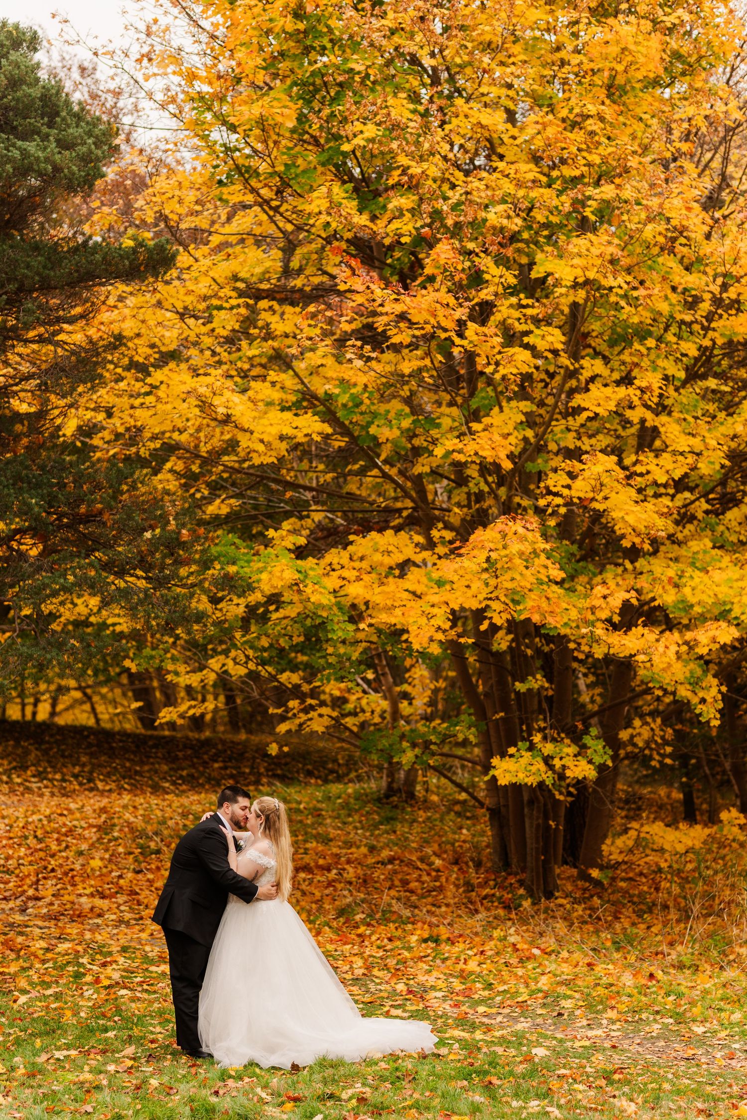 A couple in formal wedding attire stands beneath vibrant golden autumn foliage in a park setting.