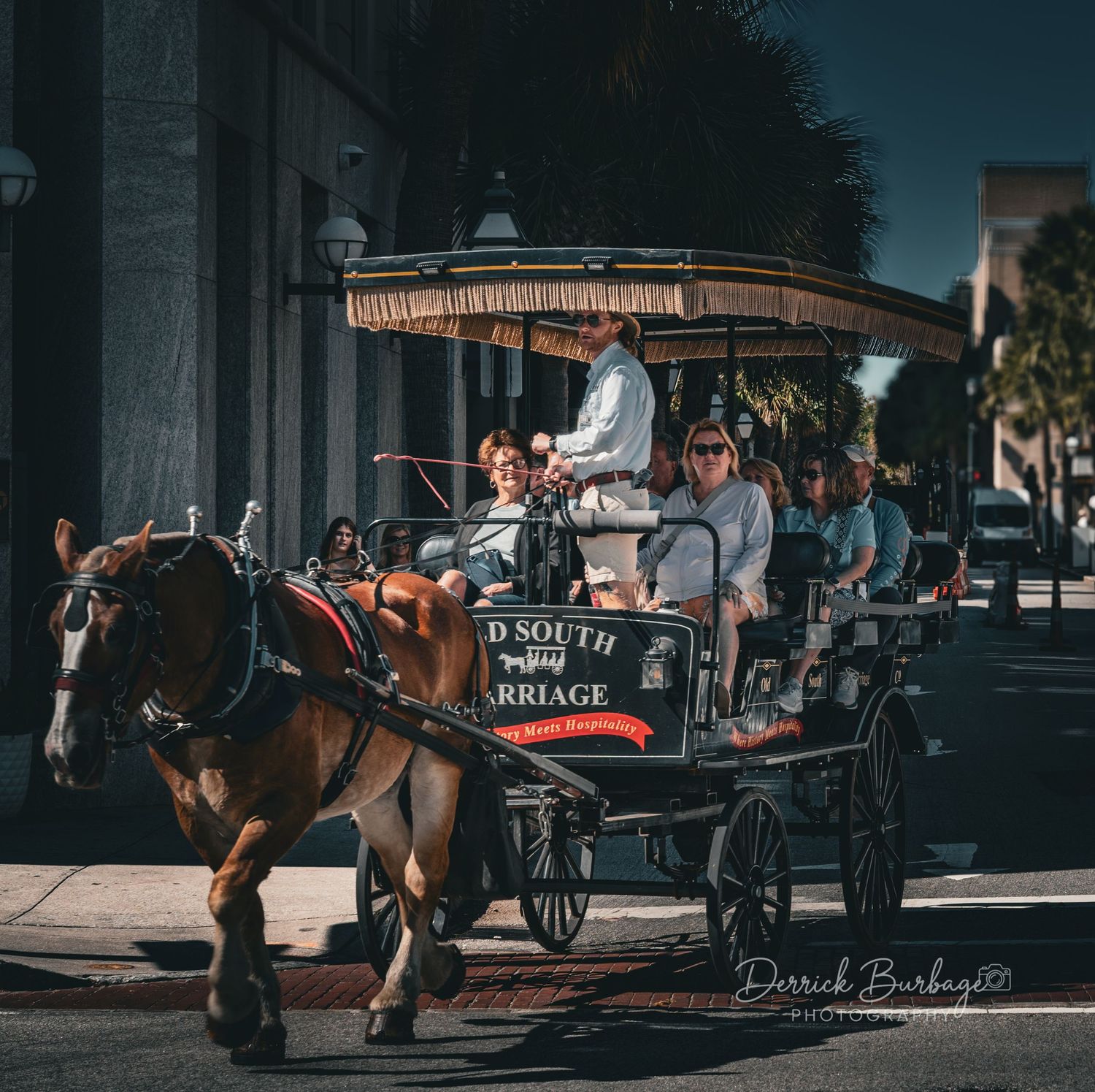 Horse-drawn carriage rides through historic city streets at sunset with shadows cast across cobblestone paths.