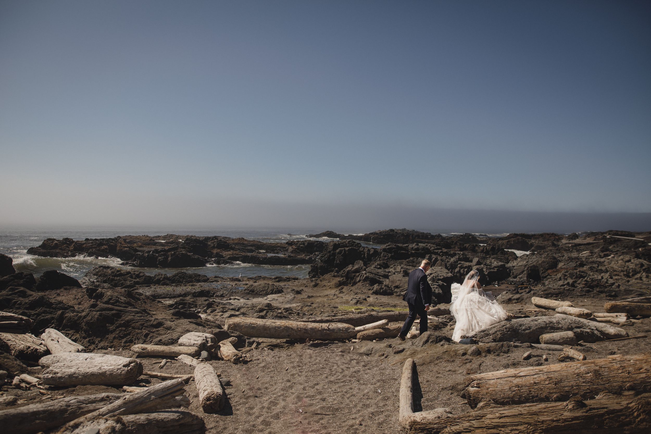 Dramatic coastal landscape with driftwood scattered along a misty Pacific Northwest beach at sunset.