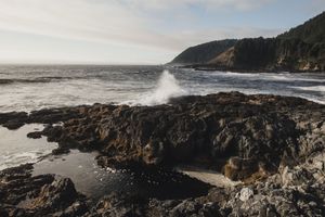 Dramatic rocky coastline with waves crashing against cliffs under a misty Pacific Northwest sky.