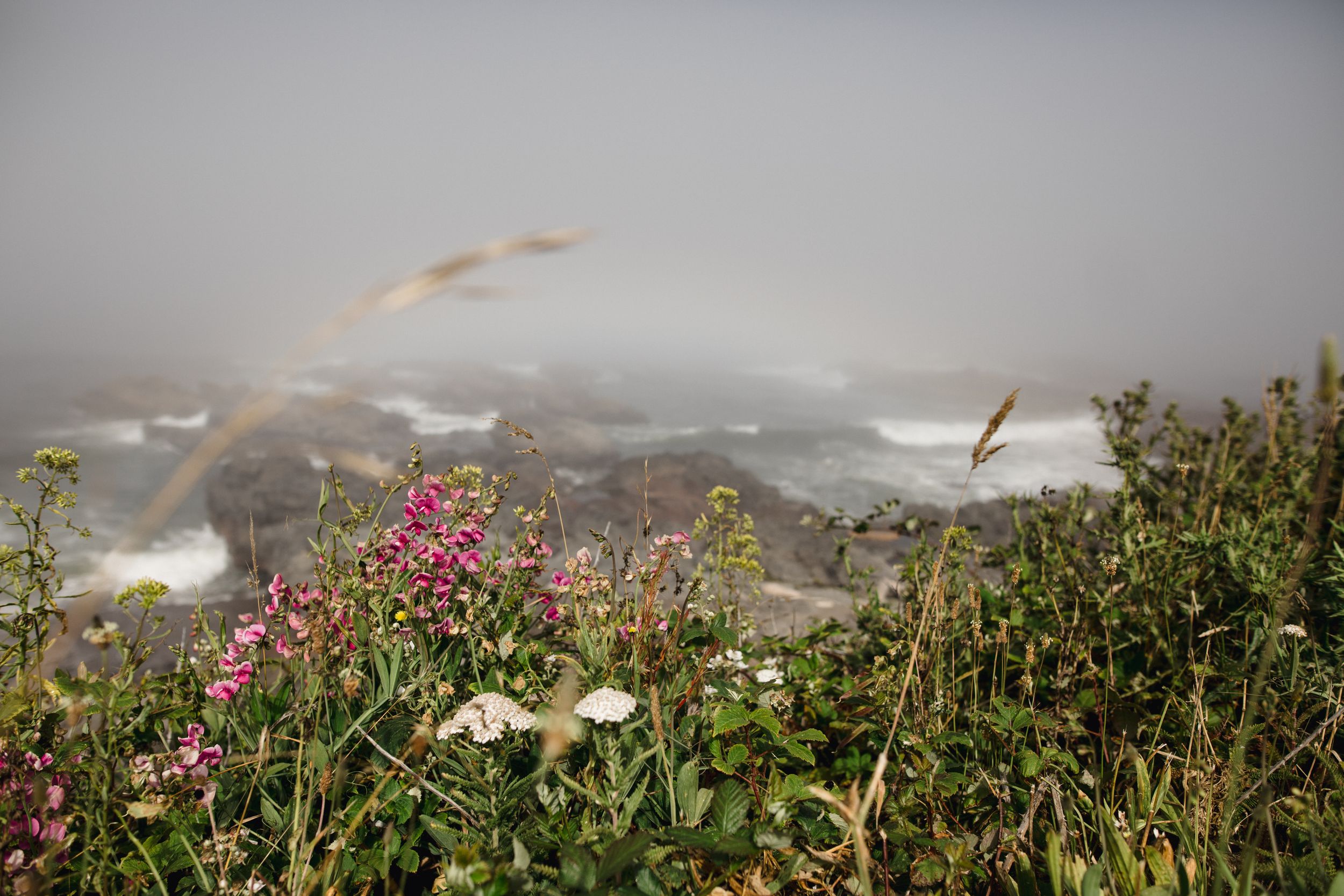 Vibrant pink wildflowers bloom against a misty mountain landscape with dramatic cloudy skies.