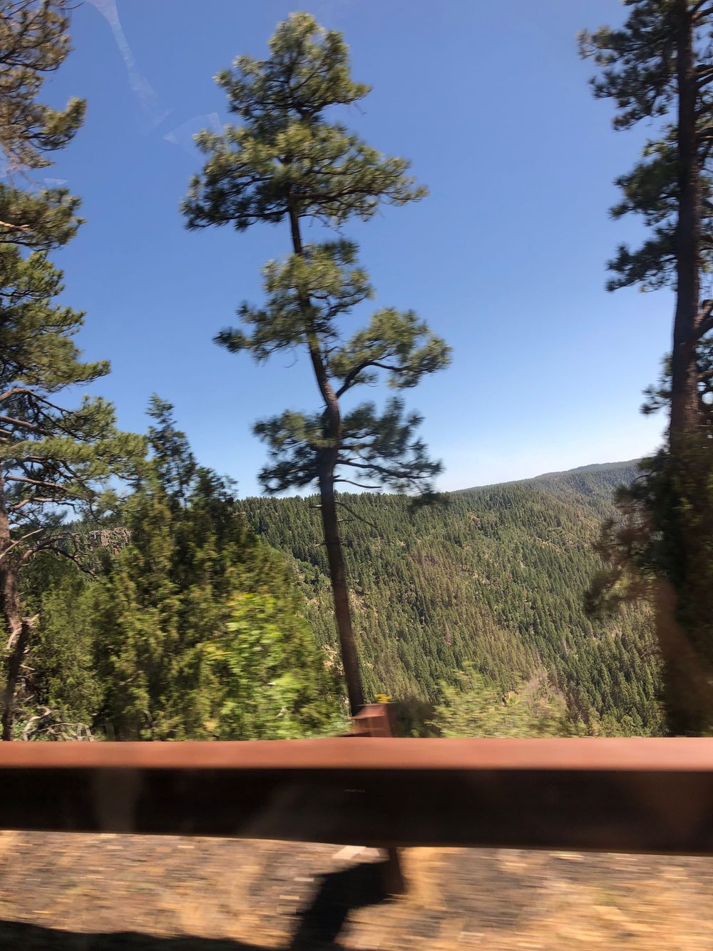 Pine trees line a scenic mountain road with forest-covered slopes in the background.