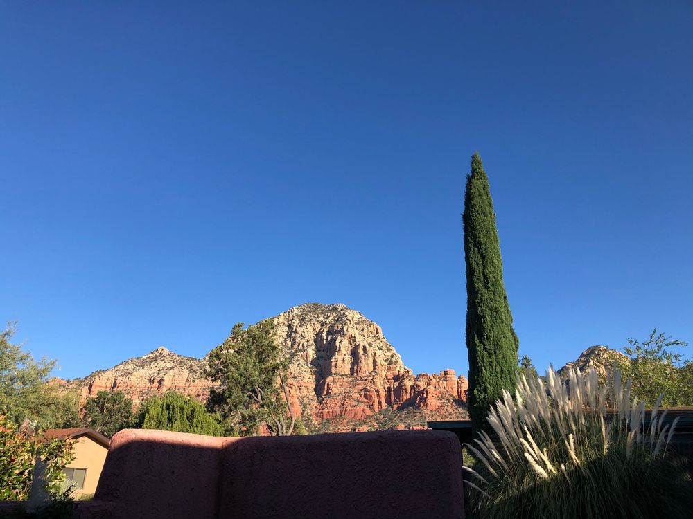 Majestic red sandstone cliffs and desert vegetation under clear blue skies in the American Southwest.