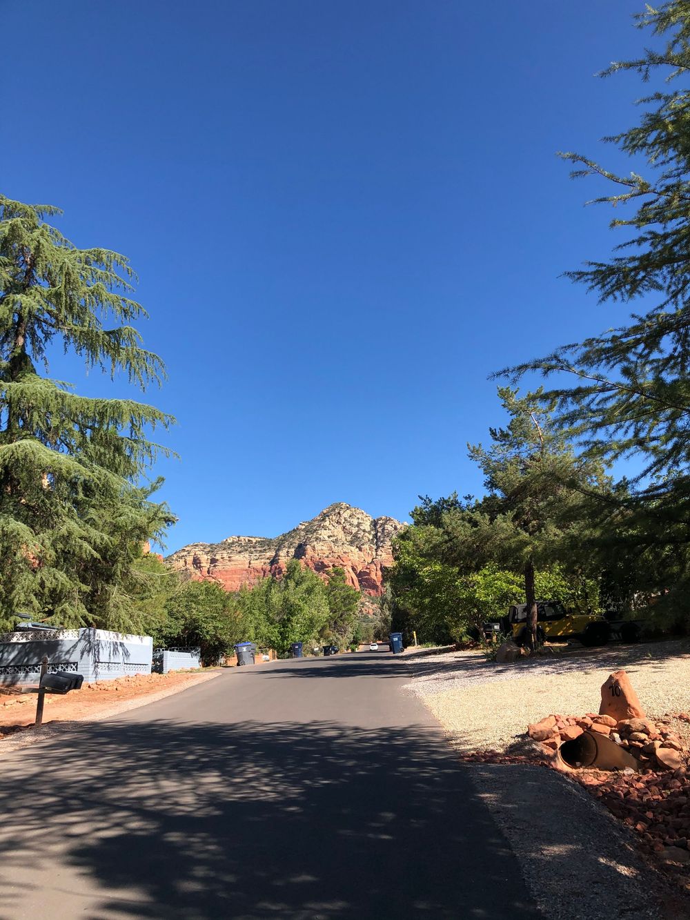 Winding paved road leads through desert landscape with red rock formations and evergreen trees under bright blue sky.