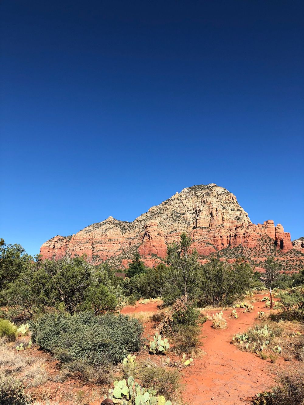 Panoramic view of red rock formations and desert landscape in Sedona with clear blue skies above.